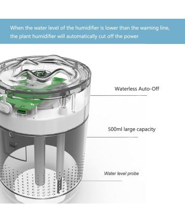 500ML Cool Mist Humidifier for Plants - Quiet Air, Two Modes, Night Light, Auto-Off - Grey - Buy Online on GoSupps.com