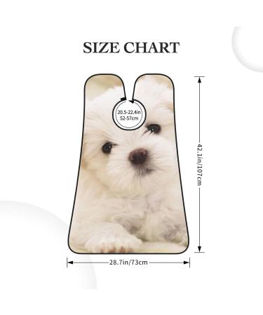 Cute Maltese Puppy Beard Bib Hair Catcher - Men's Shaving Apron Gift for Father's Day Anniversaries Valentine's & Christmas - Buy Online on GoSupps.com