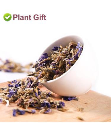 Premium Organic Pueraria Lobata Flower Tea - 100% Loose Dried Herbal Tea for Skin Care & Health - 50g / 1.7oz - Buy Online on GoSupps.com