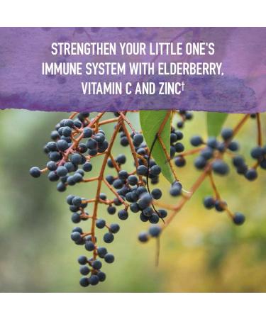 Garden of Life Mykind Organics Kids Elderberry Syrup with Zinc & Vitamin C - Sleep & Immune Support 3.92 fl oz - Buy Online on GoSupps.com