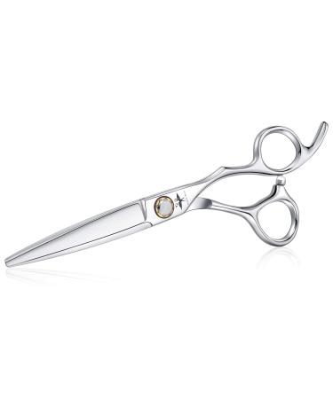 PURPLEBIRD Hairdressing Scissors 6 Inch Hair Scissors Professional Barber Scissors Japanese Stainless Steel Hair Shears for Men Women and Kids with Ball Bearing Tension System HS03-Silver-Straight