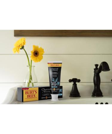 Burt's Bees Toothpaste Natural Flavor Charcoal with Fluoride Toothpaste Mountain Mint 3 x 4.7oz - Buy Online on GoSupps.com