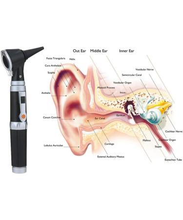 Ohyas Professional Otoscope Diagnosis Kit - LED Portable Ear Cleaner for Family Doctors & ENT Care - 8 Point Endoscope - Ships Internationally - Buy Online on GoSupps.com