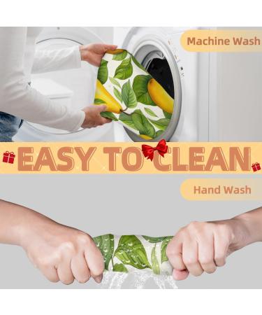 Pear Beard Bib Apron | Beard Hair Catcher for Men | Perfect Gift for Father's Day Anniversaries & Christmas | Includes 2 Suction Cups - Buy Online on GoSupps.com