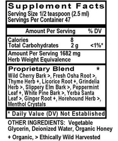 Holly Hill Health Foods Cough Syrup Alcohol Free 4 Ounce - Buy Online on GoSupps.com