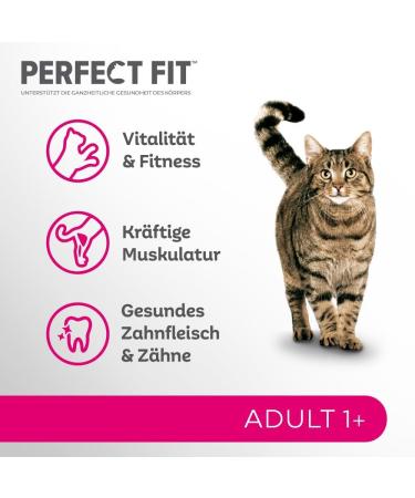 Buy PERFECT FIT Adult Dry Cat Food with Salmon - 7kg Bag | Healthy Nutrition for Cats 1 Year & Older - Buy Online on GoSupps.com