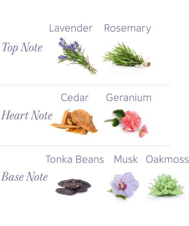 Yardley London Perfumed Fresh Floral Fragrances Locked in a fine & Silky Talcum Powder (Yardley English Lavender Perfumed Talc - 250gm Pack of 1) Yardley English Lavender Perfumed Talc - 250gm 8.82 Ounce (Pack of 1) - Buy Online on GoSupps.com