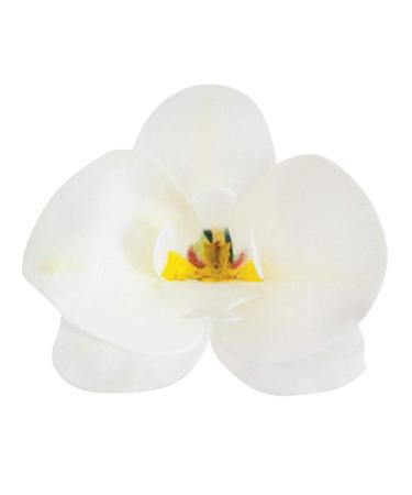 Dekora - Edible paper cake decoration White Orchid - Edible flowers for cake or cupcake - Buy Online on GoSupps.com
