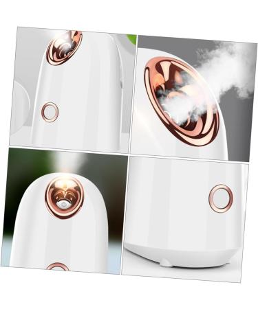Hemoton Water Replenishing Instrument Steamer Facial Treatment Tool Facial Mist Sprayer Skin Care Nano Face Humidifier Mist Humidifier Face Steamer Facial Steamer - Buy Online on GoSupps.com