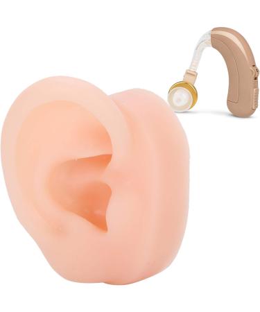 Silicone Human Ear Model for Hearing Aid Demonstration - Shop Window Display - Buy Online on GoSupps.com