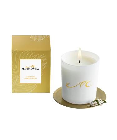 Candle - Luxury Hotel Fragrance - Soy Blend Wax - Coconut Pineapple Banana Clove - Signature Scent - 8.25 oz
