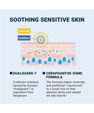 Derma B CeraMD Repair Cream Wash | Unscented Hydrating Cleanser for Dry Sensitive Skin | Paraben-Free Body Wash | 13.5 Fl. Oz - Buy Online on GoSupps.com