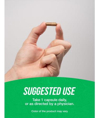 BulkSupplements.com St. Johns Wort Capsules - Hypericum Perforatum St. John's Wort Herbal Supplements - Vegan 1 Capsule per Serving 240 Veg Capsules (Pack of 1) - Buy Online on GoSupps.com