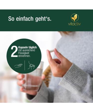 Buy Vitaciv Cholestrosan - Natural Cholesterol Capsules | 400mg Artichoke Extract Curcuma & Vegan - 60 Pieces - Buy Online on GoSupps.com