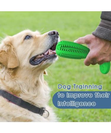 RUCACIO Dog Chew Toy - Durable Outdoor Interactive Toothbrush Toy for Medium Dogs | Dental Care & Teeth Cleaning | Puppy Birthday Gifts - A-Green - Buy Online on GoSupps.com