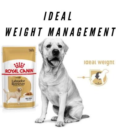 Adapted Breed Wet Labrador Retriever 10 x 140g Wet Dog Food Texture Savor For Maximum Flavor Complete Selected Nutrients For Healthy Skin Shiny Coat Strong Immunity Ideal Body Weight - Buy Online on GoSupps.com