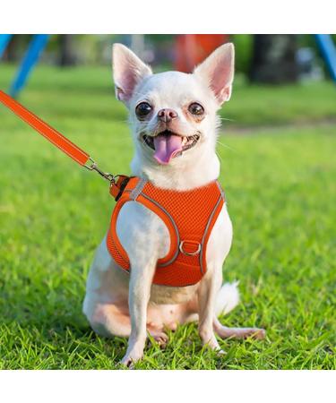 Joyal Reflective Dog Harness - Soft Padded Breathable Mesh for XS Puppies & Small Dogs (34-38cm Orange) - Buy Online on GoSupps.com