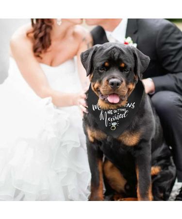 WLLHYF My Humans are Getting Married She Said Yes Dog Bandana Pets Scarf Triangle Bibs Kerchief Set Wedding Photo Prop Decoration Pet Costume Accessories for Dog Lovers Small Medium Large Dogs Cats - Buy Online on GoSupps.com