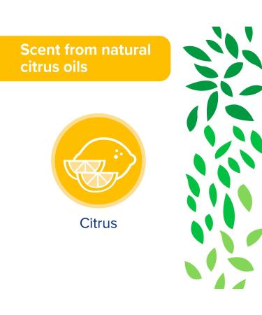Sun & Earth All Purpose Cleaner - Light Citrus, 6 Pack (132 Fl Oz) - Eco-Friendly Spray - Buy Online on GoSupps.com