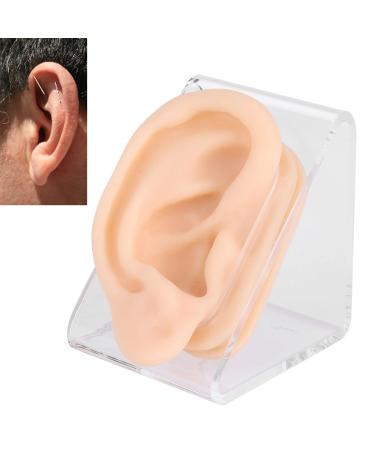 Soft Silicone Ear Model  Simulation Ear Acupuncture Practice Model for Hospital Display  Right Ear Model Teaching Demonstration and Acupuncture Ideal Tool Hearing Tools