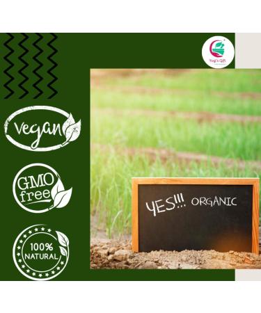 Organic Indigo Powder 8 oz | Black Henna Hair Dye | Indigofera Tinctoria | Ideal for Dark Hair | Includes FREE Gloves & Head Cap - Buy Online on GoSupps.com