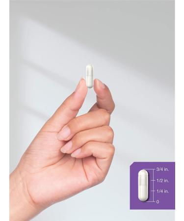 Horb ach Probiotics for Women & Men | 14 Strains for Digestive Health | 9 Billion CFU | 90 Capsules | Non-GMO & Gluten Free Supplement - Buy Online on GoSupps.com