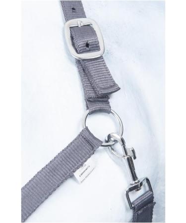 RL24 - Nylonhalter Basicline Gray Pony | Premium Quality International Shipping Available - Buy Online on GoSupps.com