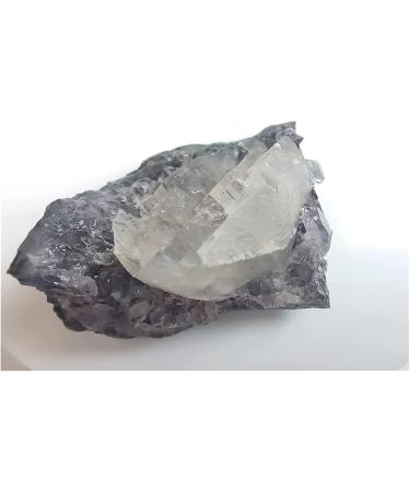 Natural Crystal Rough Amethyst Rough Stone Natural Raw Amethyst White Quartz Crystal Cluster Stones Collection Specimens Crafts Decoration Ornament 4cm White - Buy Online on GoSupps.com