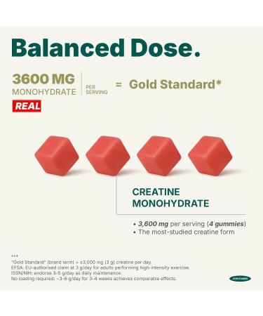 Creatine Monohydrate Gummies 3600mg Real Creatine Per Serving Transparent Label Juicy Watermelon Flavor Lab-Tested Strength & Recovery Supplement Watermelon 1 Count (Pack of 120) - Buy Online on GoSupps.com