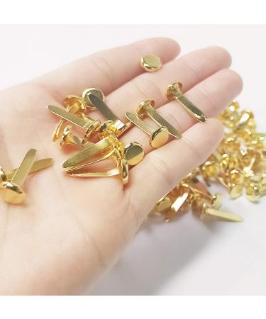 100 Pcs Brass Paper Fasteners  8x17mm Plated Mini Brads for Scrapbooking Crafts DIY Projects (Gold) - Buy Online on GoSupps.com