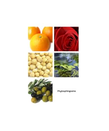Buy Active Balm Hand & Body Mini - Nourishing Moisturizer for All Skin Types | International Shipping Available - Buy Online on GoSupps.com