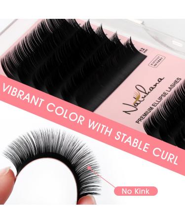 Ellipse Flat Eyelash Extensions B Curl 0.20mm | 8-15mm Mixed Makeup Tray | Natural Soft Black Individual Classic Lash Supply - Buy Online on GoSupps.com
