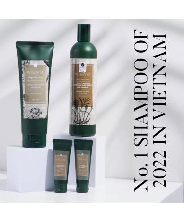 Buy Zingiber Officinale Juice Bright Hair Shampoo & Conditioner - 13.5 oz | Best Ginger Hair Loss Treatment Online - Buy Online on GoSupps.com