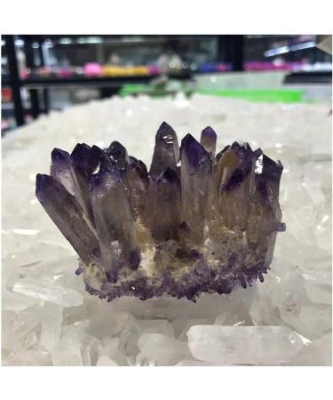 Natural Crystal Rough Crystal Gift Collectionn 1pc Natural Purple Crystal Cluster Stone geomantic furnishings degaussing Transfer Home furnishings Amethyst Home CrystalMeditation Gift (Size : 430-450 430-450g - Buy Online on GoSupps.com