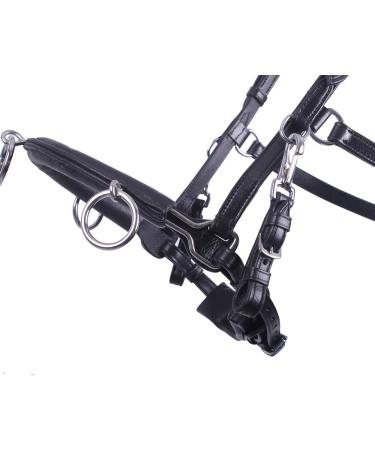 NETPROSHOP Leather Cavesson Lunging Aid for Groundwork - Black Size Pony Cob Full XFull | International Shipping Available - Buy Online on GoSupps.com