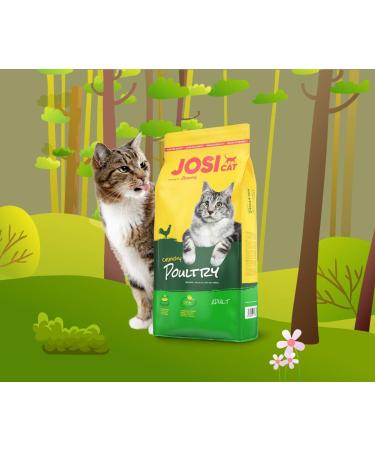 Josicat Crunchy Poultry - Premium Dry Cat Food (10 kg) for Adult Cats | Josera Quality - Buy Online on GoSupps.com