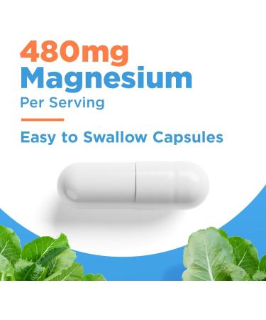 SELFevolve Magnesium Glycinate 480mg - High Absorption Magnesium Supplement Support Stress Relief Sleep Heart Health Nerves Muscles and Metabolism 120 Veggie Capsules 1 Month Supply - Buy Online on GoSupps.com