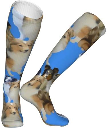 Shelties Family Compression Socks for Men & Women - Blue Background 15-20 mmHg Support for Running & Cycling - Buy Online on GoSupps.com