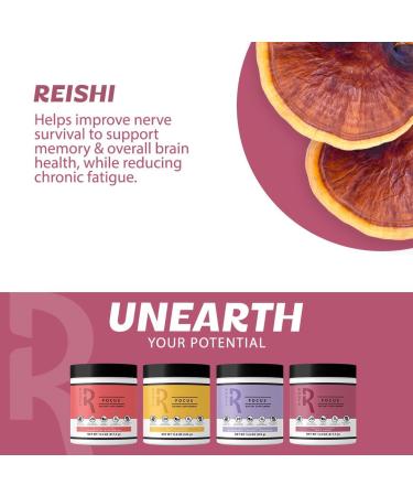 Roots Focus Nootropic Brain Supplement - Fruit Punch | Lion's Mane Cordyceps & Reishi Mushrooms + Extended-Release Caffeine - 50 Servings - Buy Online on GoSupps.com