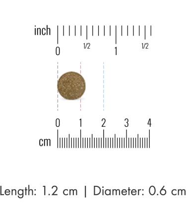 Dr. Mercola Organic Fermented Moringa - 270 Biodynamic Tablets for Natural Wellness - Buy Online on GoSupps.com