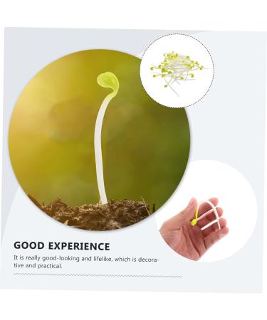 Alipis 100 Pcs Bean Sprouts Toy Small Plant Lifelike Bean Sprout Decoration for Home Faux Plants Delicate Bean Sprout Food Decor Wedding Decor Fruit Toys Pvc Artificial Household Products - Buy Online on GoSupps.com