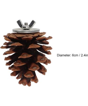 Shanrya Bird Molar Pine Cone Toy Nut Fix Parrots Chewing Pine Cones for Conure for Cockatiel - Buy Online on GoSupps.com