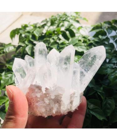 Room Decoration 350g-900g Natural Clear Quartz Stone White Crystal Cluster 1pc (Color : 1pc 710g-760g) - Buy Online on GoSupps.com