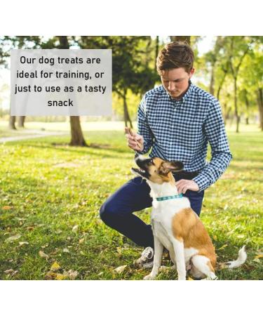 Rawhide Ring Large x 5 Natural Rawhide Dog Treats LOD3 - Buy Online on GoSupps.com