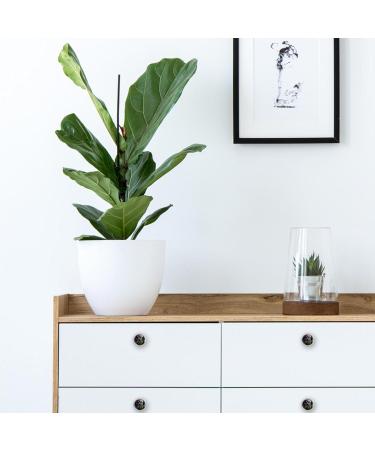 Buy GEAPB 4PC Cabinet Handles - Colorful Animal Owl Design for Cupboards & Drawers | International Shipping Available - Buy Online on GoSupps.com