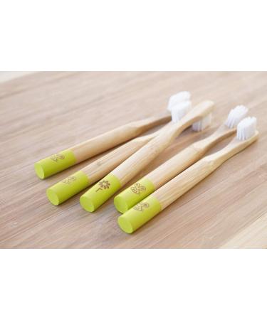 Bamboo Kids Toothbrush Set with Fluoride-Free Baby Toothpaste - Safe for Infants & Toddlers | Vitamin C Enriched | BPA-Free & Biodegradable | Ages 6-12 Months | 1 Toothbrush + 1 Toothpaste - Buy Online on GoSupps.com