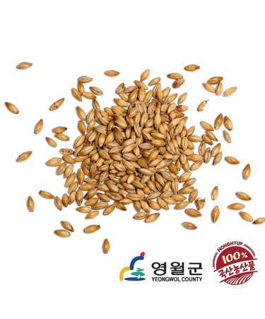 NongHyup Diastatic Dry Malt Barley Powder - All Natural Korean Product for Red Hot Pepper Paste 100% (500g/17.6oz) - Buy Online on GoSupps.com
