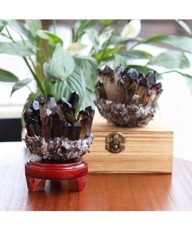 Natural Smokey Quartz Tea Crystal Cluster Stones Crystal Point Specimen Home Decoration Raw Crystals ningxiao (Color : Smokey Quartz Size : 400-500g) 400-500g Smokey Quartz - Buy Online on GoSupps.com