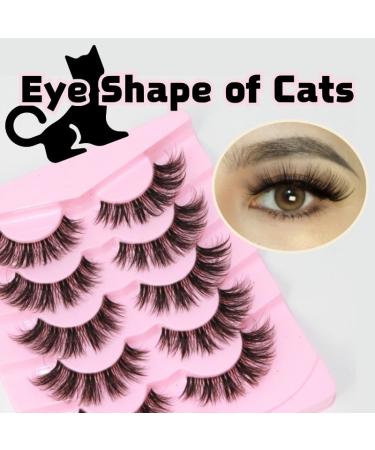 Shop Laoya Boho Cat Eye False Eyelashes | 5D Volume Wispy 17mm Strip Lashes - 5 Pairs Pack for Natural Look | Best International Shipping - Buy Online on GoSupps.com