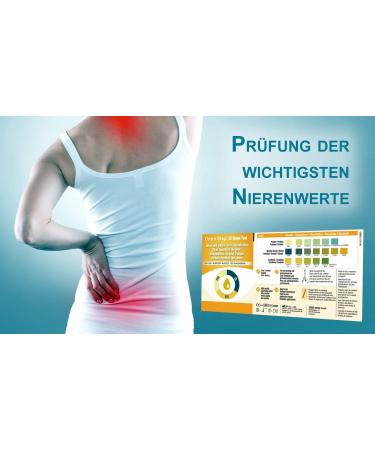 One+Step Kidney Test - 5 Urine Test Strips for Creatinine Protein & Specific Gravity | Fast International Shipping - Buy Online on GoSupps.com